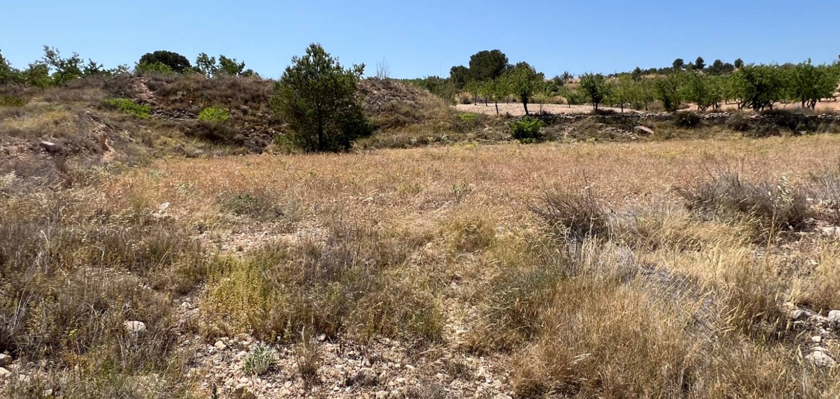 Revente - Parcelle - Barbarroja