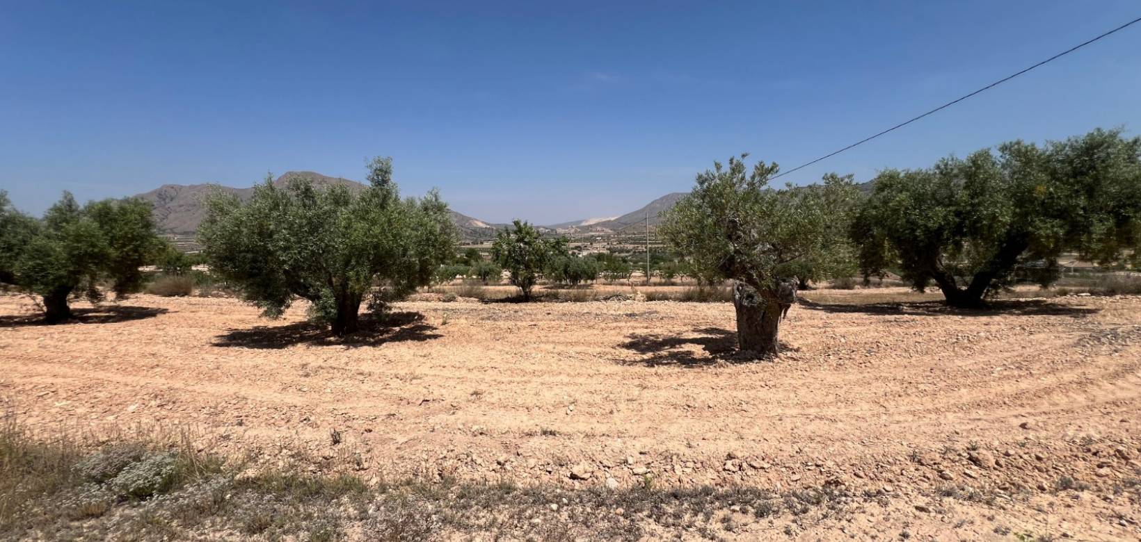 Revente - Parcelle - Barbarroja