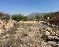 Revente - Parcelle - Barbarroja