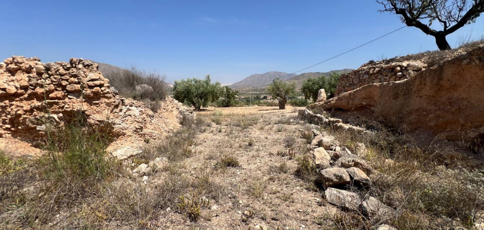 Revente - Parcelle - Barbarroja