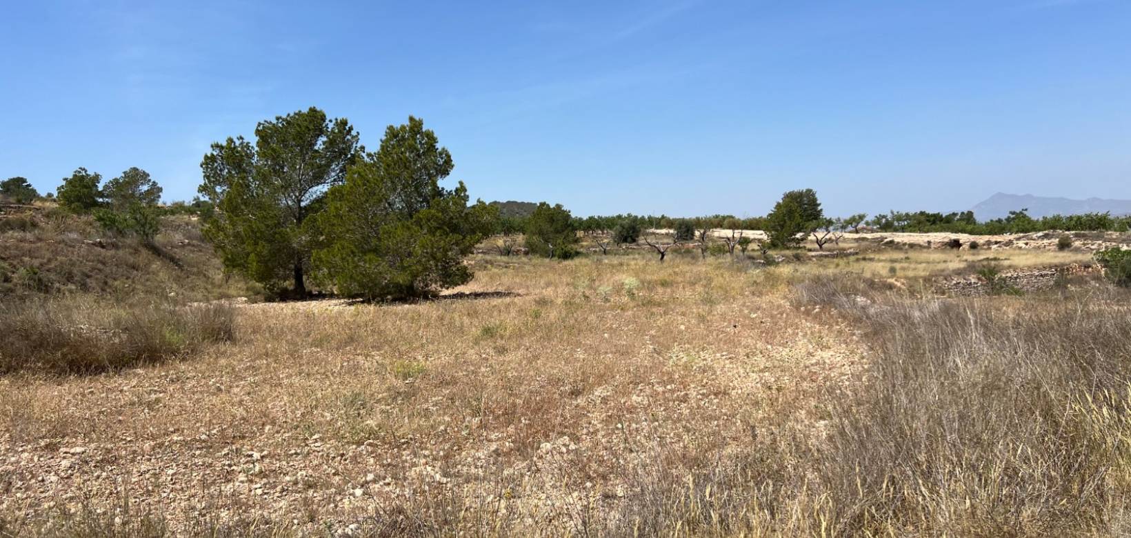 Revente - Parcelle - Barbarroja