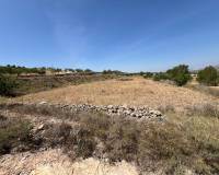 Revente - Parcelle - Barbarroja