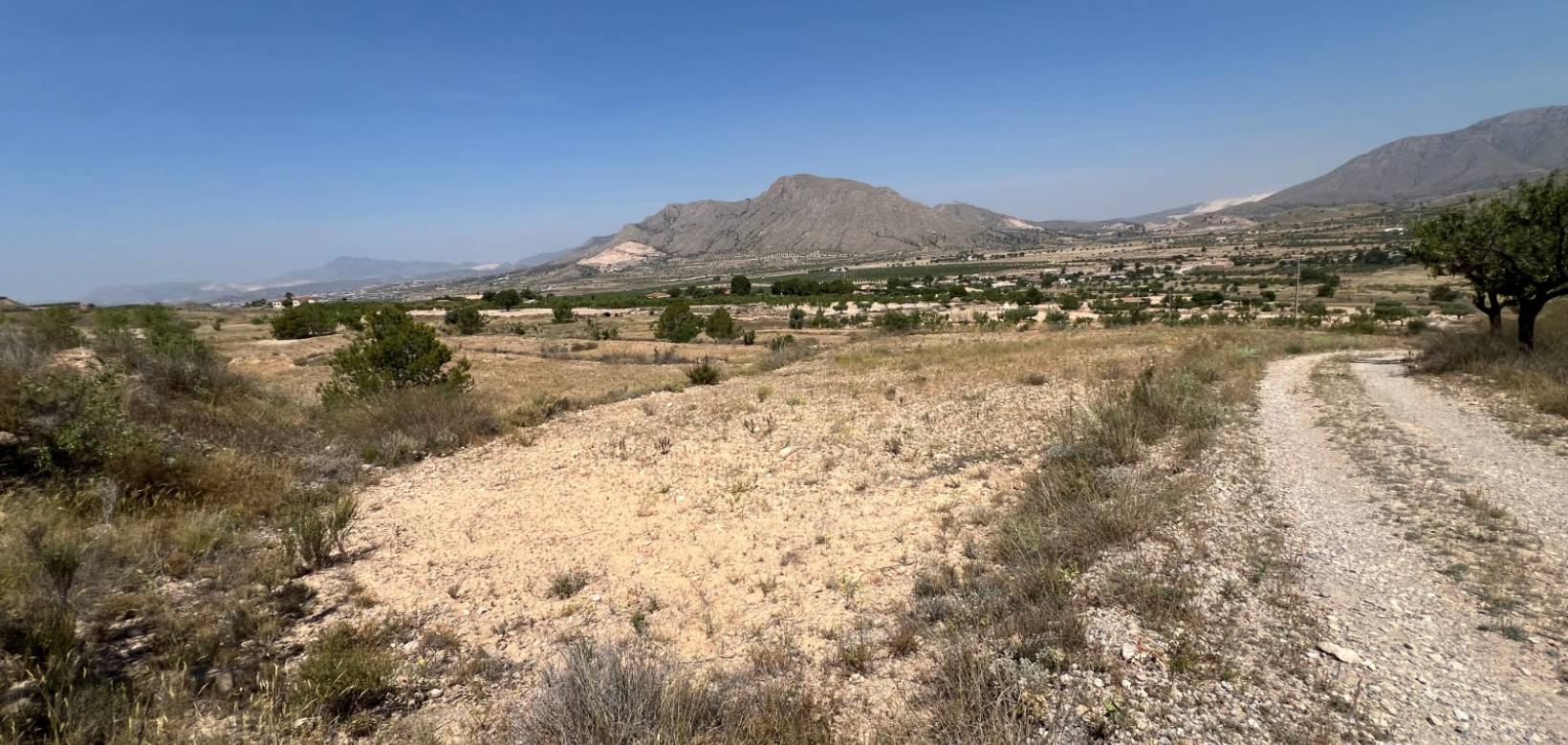 Revente - Parcelle - Barbarroja