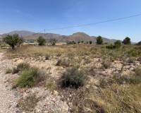 Revente - Parcelle - Barbarroja