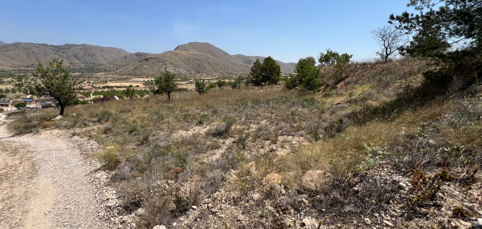 Revente - Parcelle - Barbarroja