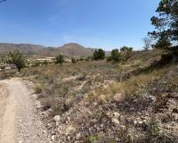 Revente - Parcelle - Barbarroja