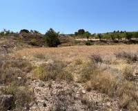 Revente - Parcelle - Barbarroja