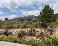 Revente - Parcelle - Hondón de las Nieves