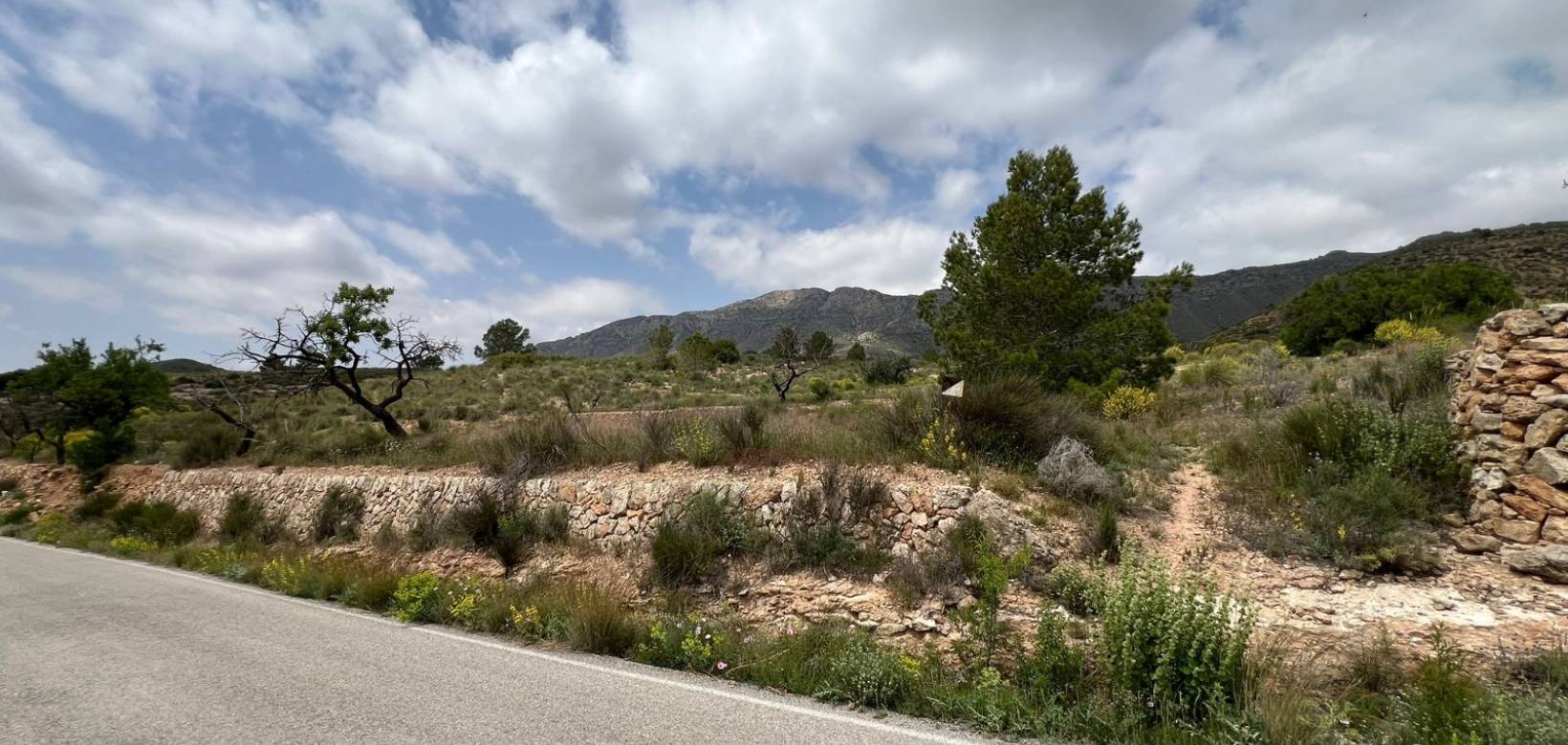 Revente - Parcelle - Hondón de las Nieves