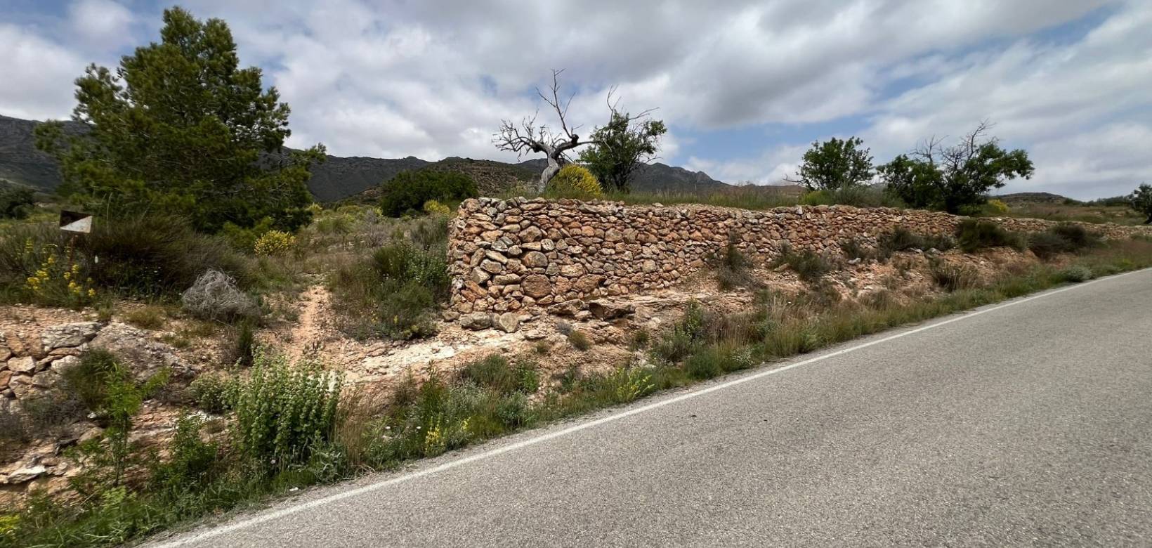 Revente - Parcelle - Hondón de las Nieves