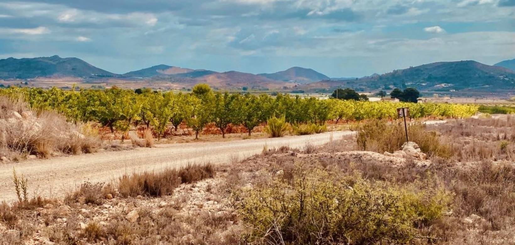 Revente - Parcelle - Hondón de las Nieves