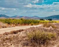 Revente - Parcelle - Hondón de las Nieves