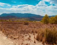 Revente - Parcelle - Hondón de las Nieves