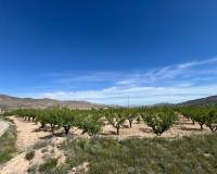 Revente - Plot / Land - Hondón de los Frailes