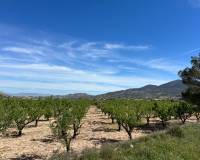 Revente - Plot / Land - Hondón de los Frailes