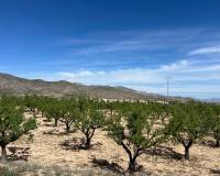 Revente - Plot / Land - Hondón de los Frailes