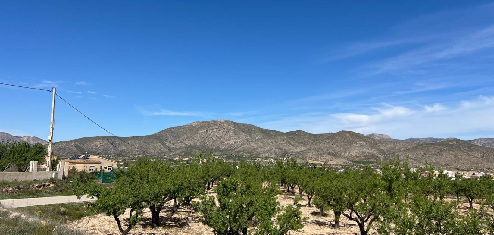 Revente - Plot / Land - Hondón de los Frailes