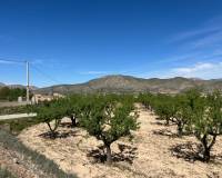 Revente - Plot / Land - Hondón de los Frailes