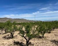 Revente - Plot / Land - Hondón de los Frailes