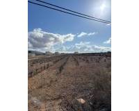 Revente - Plot / Land - Pinoso  - el Pinós / Pinoso