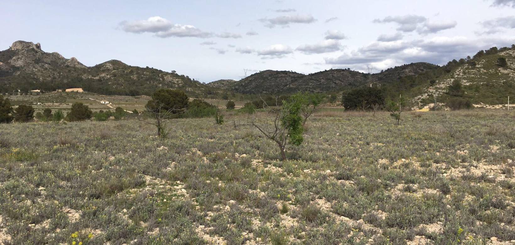 Revente - Plot / Land - Salinas