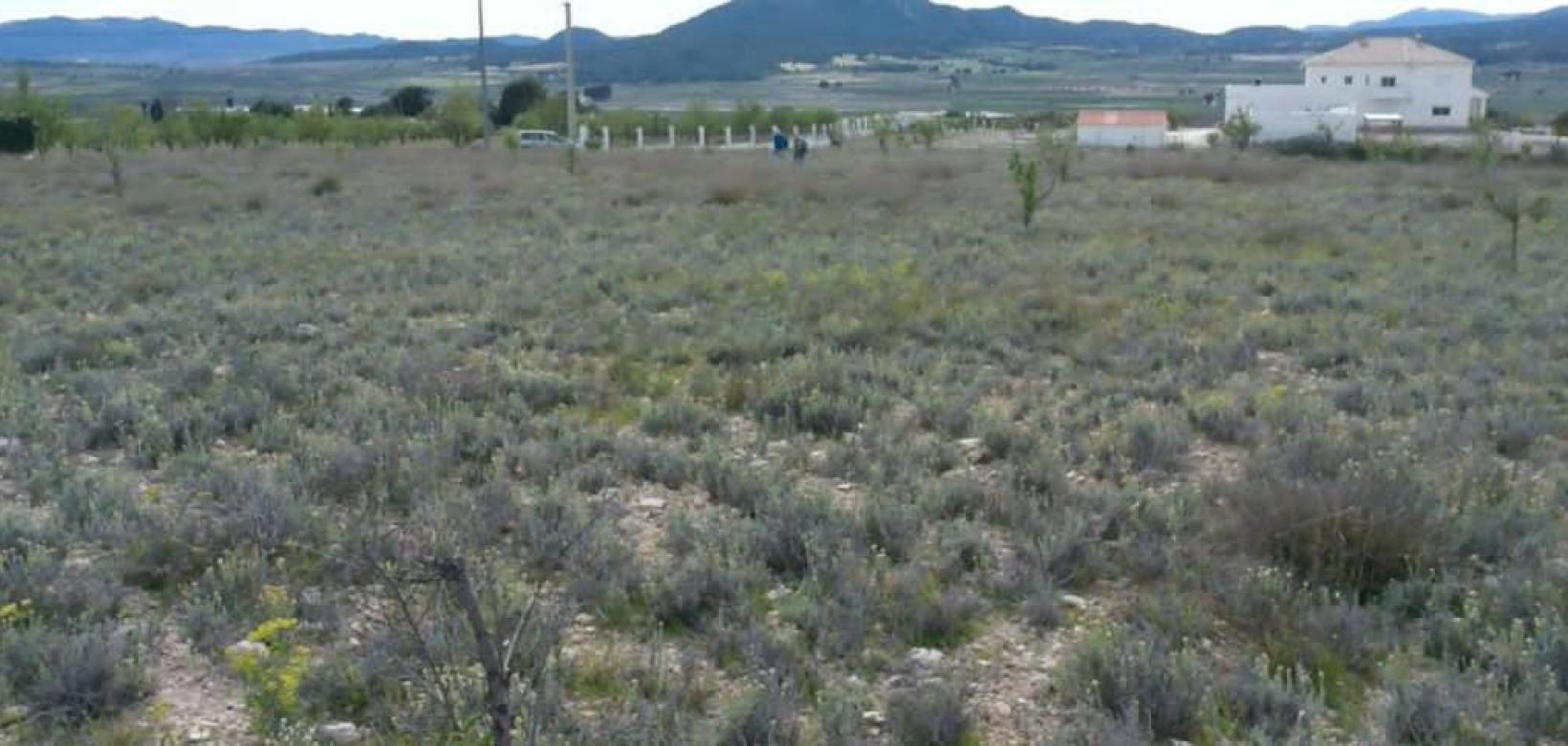 Revente - Plot / Land - Salinas