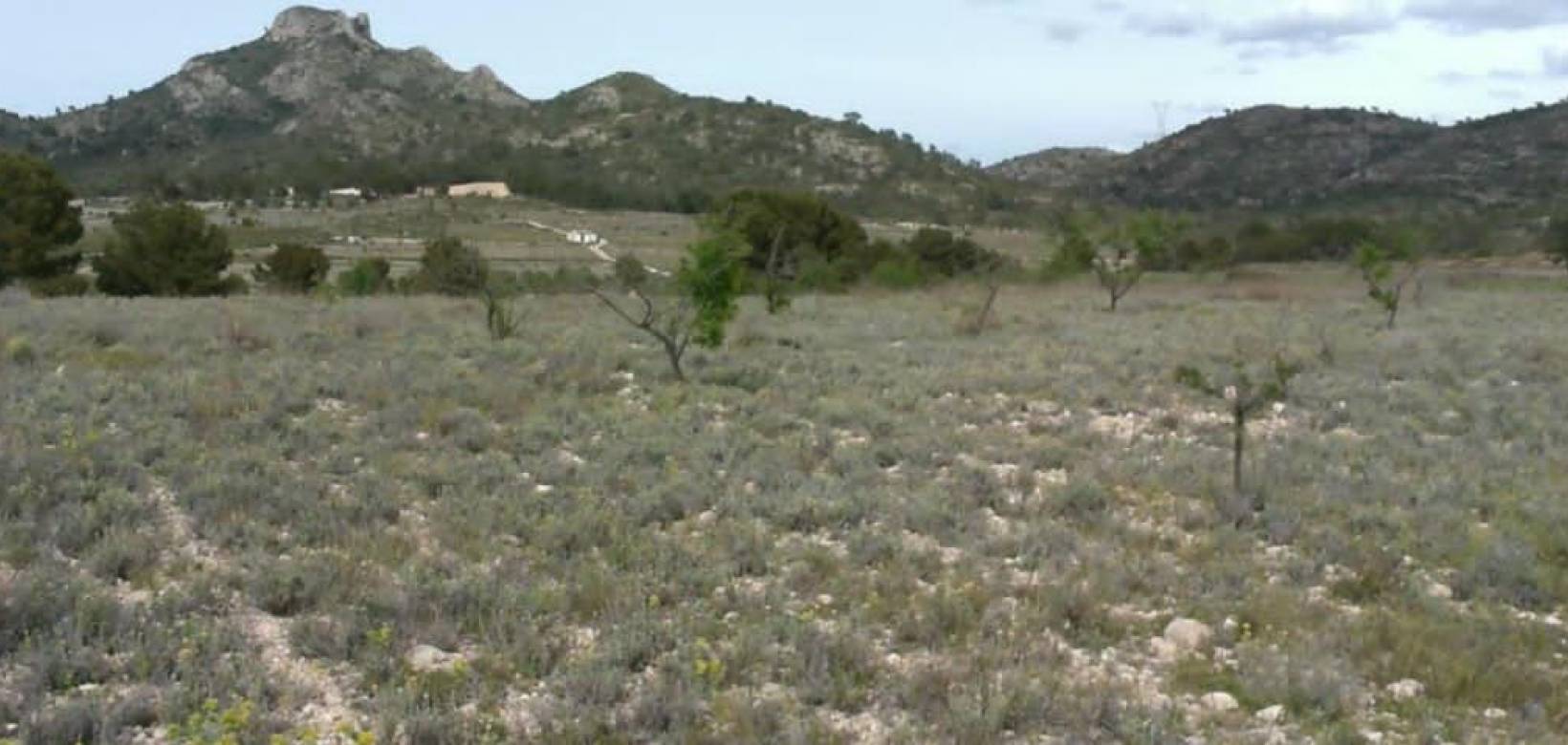 Revente - Plot / Land - Salinas