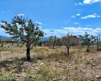 Revente - Restoration project - Pinoso  - Pinoso