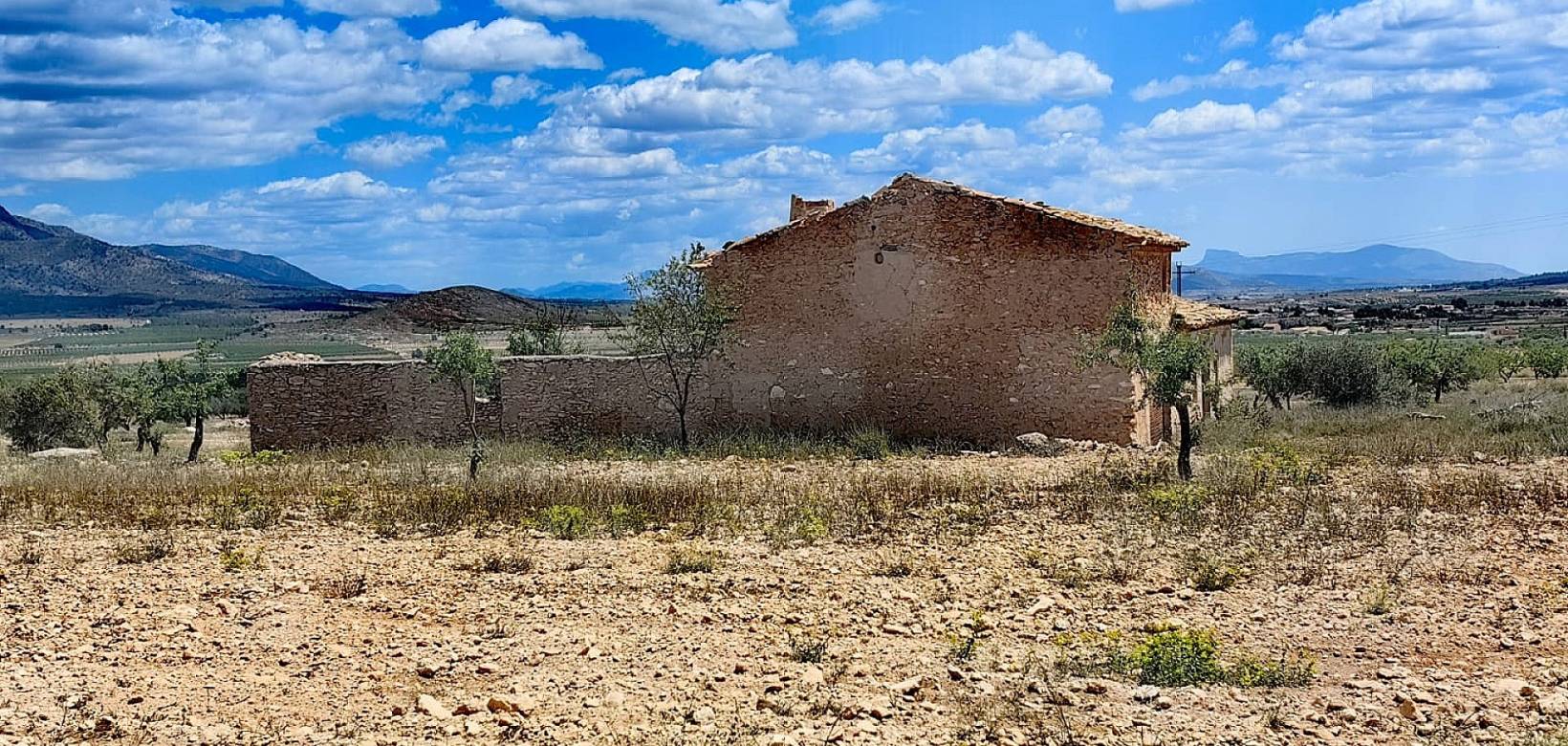 Revente - Restoration project - Pinoso  - Pinoso