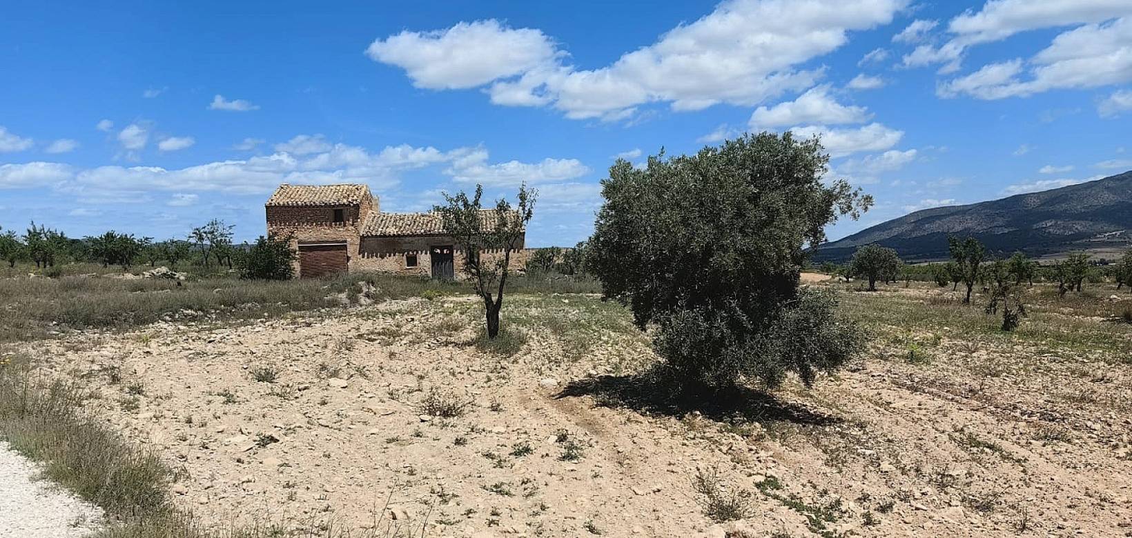 Revente - Restoration project - Pinoso  - Pinoso