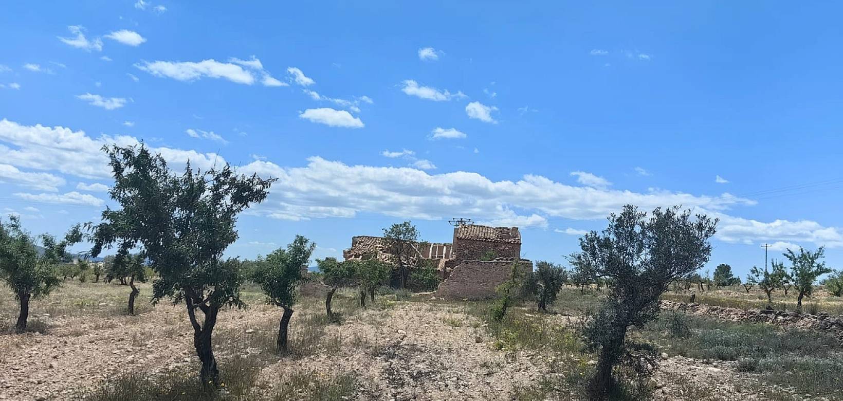 Revente - Restoration project - Pinoso  - Pinoso