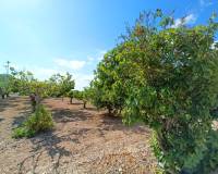 Revente - Villa - Aspe