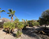 Revente - Villa - Barbarroja