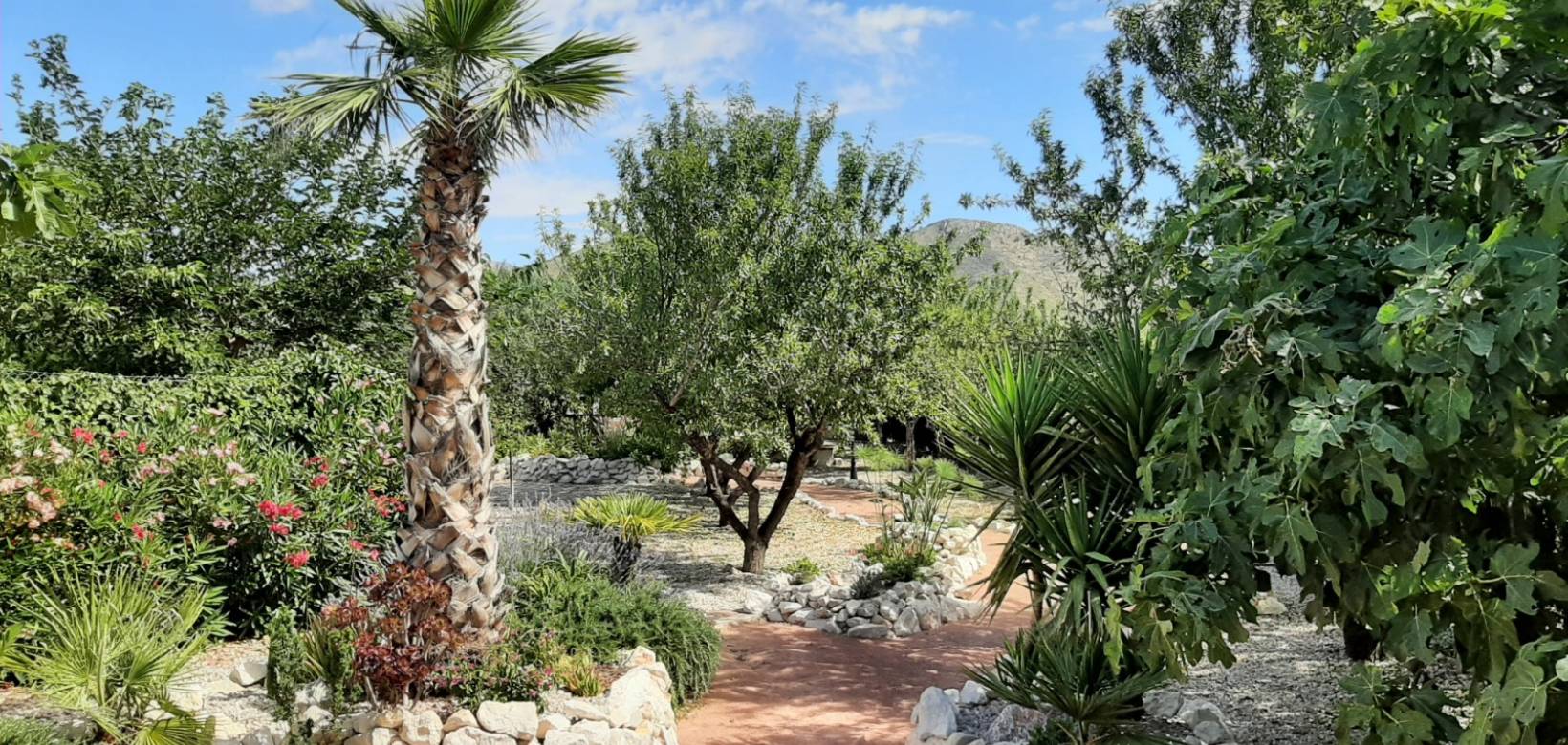 Revente - Villa - Barbarroja