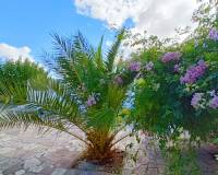 Revente - Villa - Barbarroja