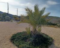 Revente - Villa - Cañada de la Leña