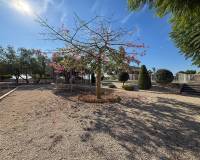 Revente - Villa - Crevillente