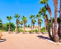 Revente - Villa - Daya Vieja