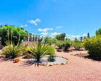 Revente - Villa - Daya Vieja