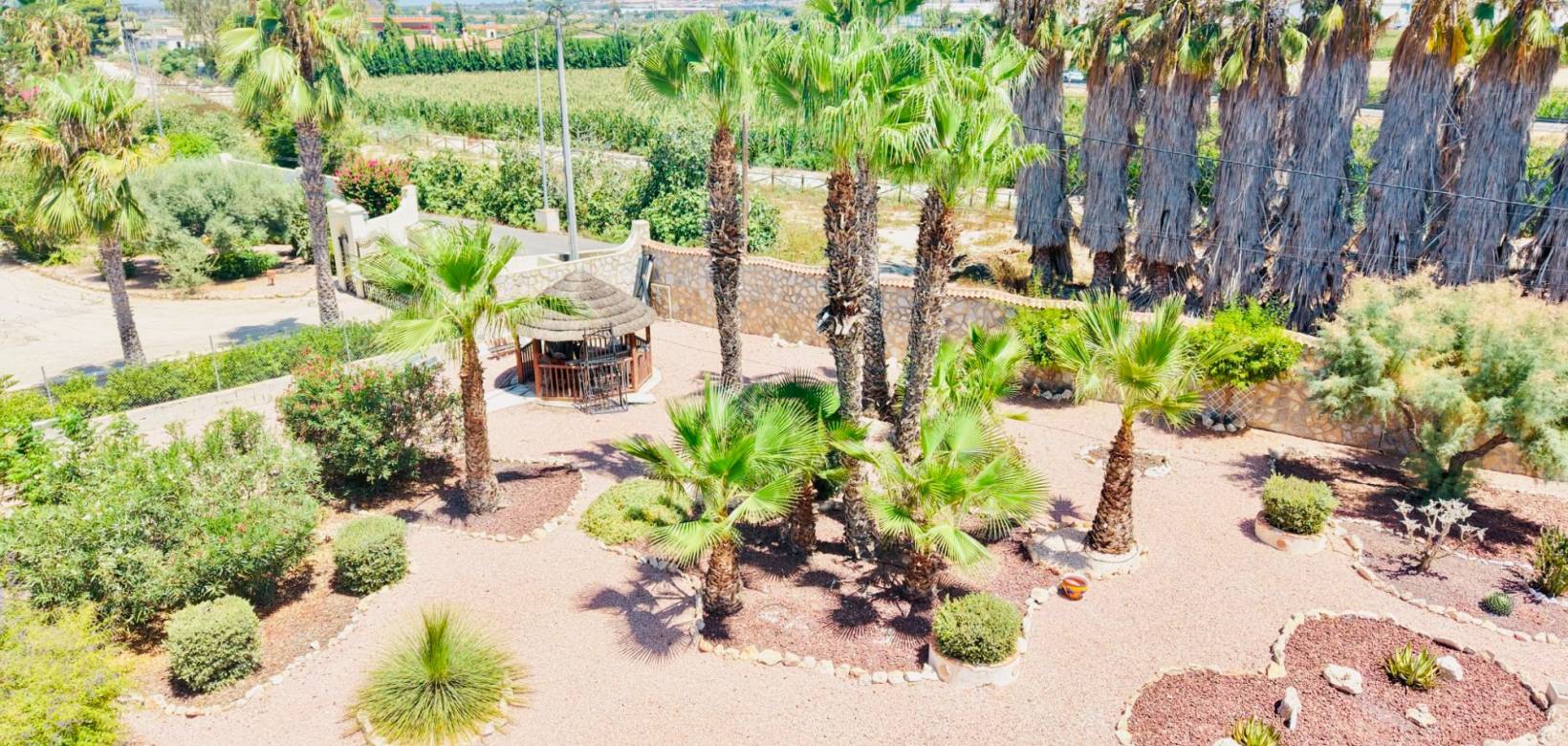 Revente - Villa - Daya Vieja