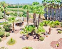 Revente - Villa - Daya Vieja
