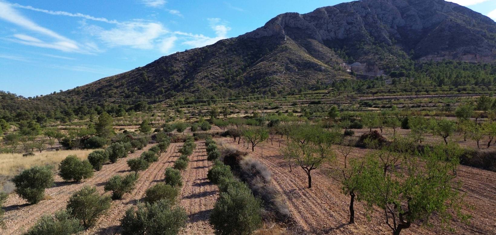 Revente - Villa - El Cantón - El Canton