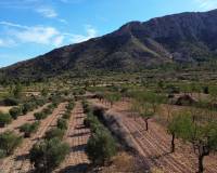 Revente - Villa - El Cantón - El Canton