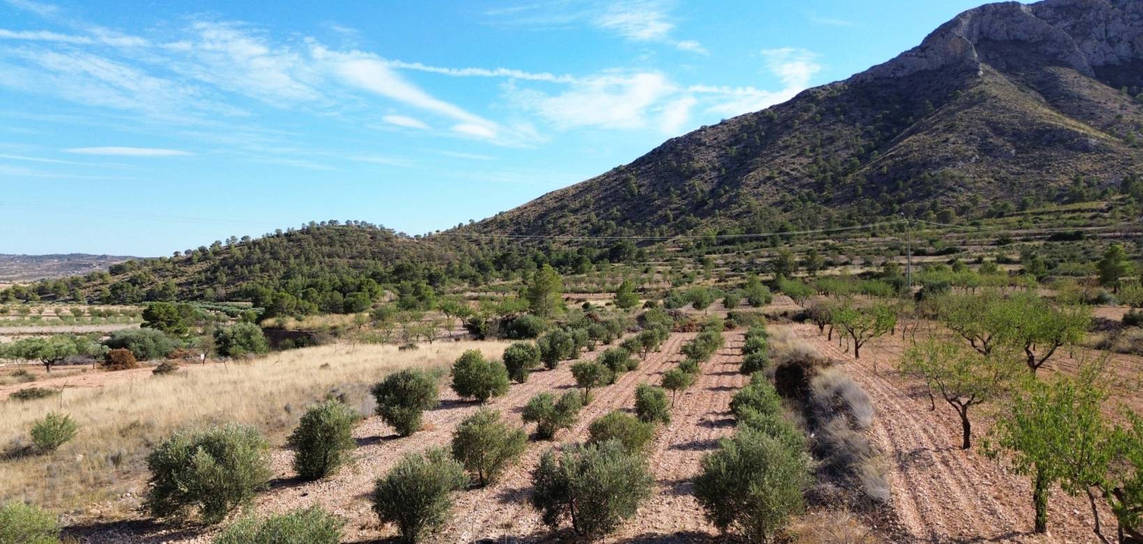 Revente - Villa - El Cantón - El Canton