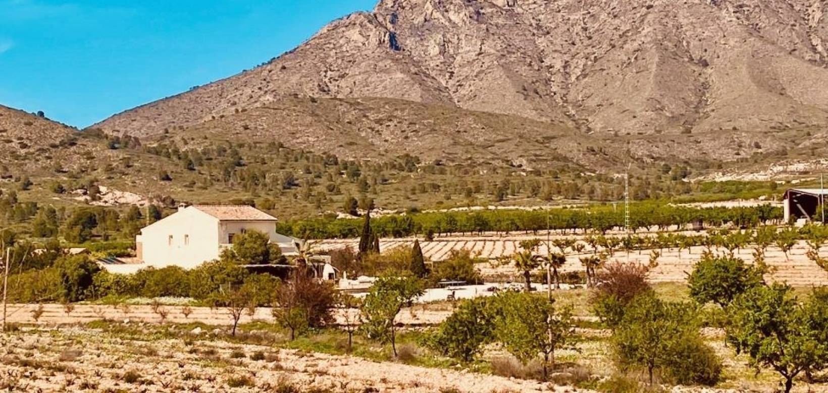 Revente - Villa - El Cantón