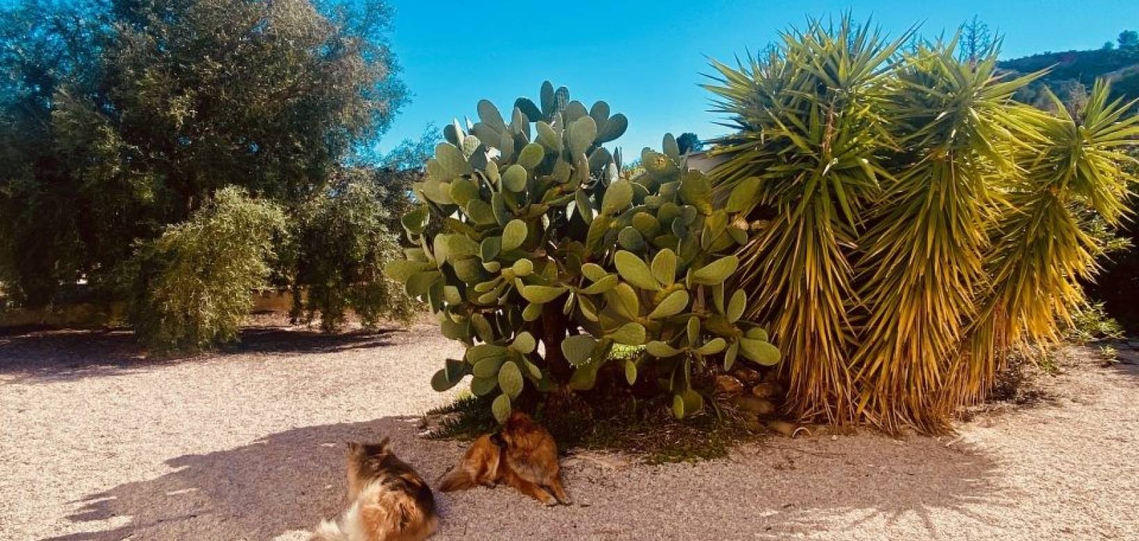 Revente - Villa - El Cantón