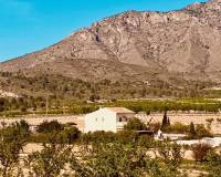 Revente - Villa - El Cantón