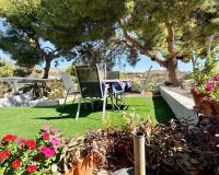 Revente - Villa - Elche - Center