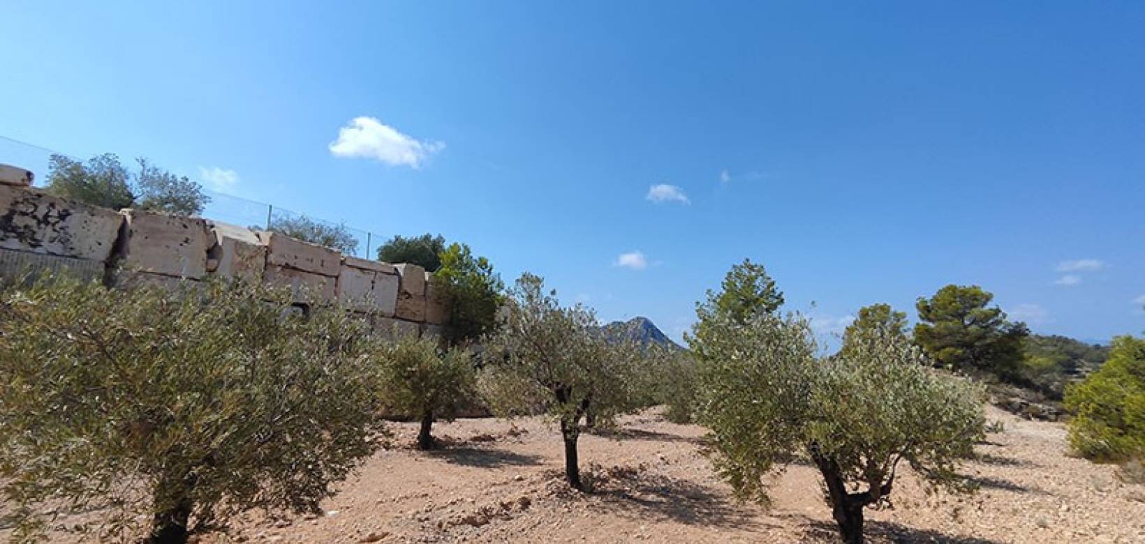 Revente - Villa - Fortuna