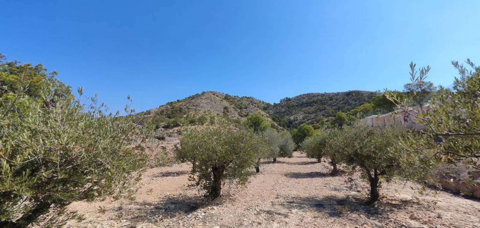 Revente - Villa - Fortuna